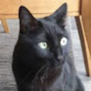 Meet your Posher, Nibbles